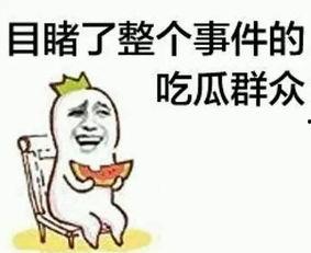 吃瓜娱乐打人案件真相,揭秘打人案件真相