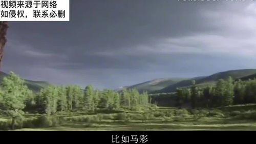 如何寻找八卦墓,八卦墓寻踪之旅