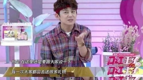 娱乐圈 粉丝,狂热追随，情感交织的青春记忆